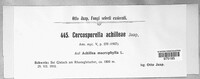 Image of Cercospora achilleae